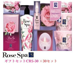 [YXp@MtgZbg 30ZbgICRS-30Ό/{fB[\[v/̓/Ε//蕨w/ʍw/d/ʎd/yY/eiii/mxeB/v[g/̈