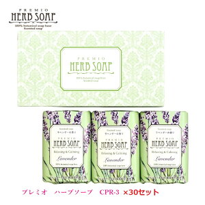 v~I n[u\[vZbg 30ZbgI CPR-3Ό/Ō`Ό/A}/x_[/̓/Ε//蕨w/ʍw/d/ʎd/yY/eiii/mxeB/v[