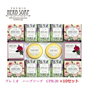 v~I n[u\[vZbg 10Zbg CPR-20Ό/Ō`Ό/A}/x_[/̓/Ε//蕨w/ʍw/d/ʎd/yY/eiii/mxeB/v[g