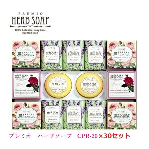 v~I n[u\[vZbg 30Zbg CPR-20Ό/Ō`Ό/A}/x_[/̓/Ε//蕨w/ʍw/d/ʎd/yY/eiii/mxeB/v[g