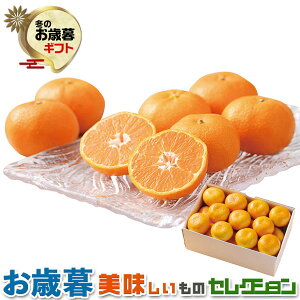 お歳暮ギフト・愛媛県産 みかん 約2kg|13〜21個 (計約2kg)|冬ギフト 手土産 贈物 お供え 送料無料