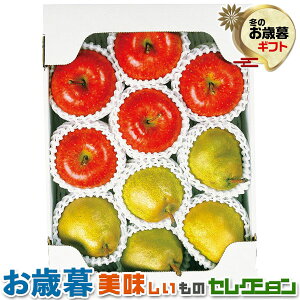 ΕMtgE݉̎R`Y Tӂ  EtX 3kgb(x14xȏ)EmiV@e5(v3kg)E퉷b~Mtg@yY@@@