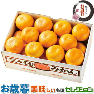 お歳暮ギフト・静岡県産 三ヶ日 みかん 約 2.5kg|蜜柑 15〜25個 段ボール箱|フルーツ 果物 冬ギフト 手土産 贈物 お供え 送料無料
