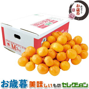 ΕMtgE呺_@F{Y V ݂  3kgb LC̒Ƒz𗁂тĈ݂ i{[bt[c@ʕ@~Mtg@yY@@@