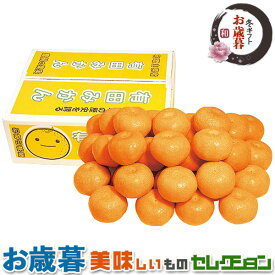 お歳暮ギフト・和歌山県産 有田みかん 約 5kg｜蜜柑 太陽の光を十分浴びて育てられたみかんです。段ボール箱｜フルーツ　果物　冬ギフト　手土産　贈物　お供え　送料無料