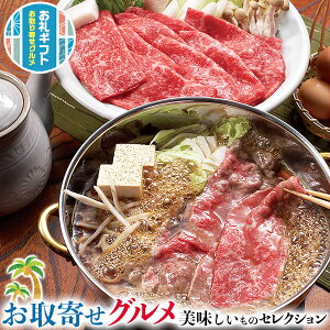 ő2000~N[| O Mtg@Oc{ јa ĂEԂ pb400gE[X300g iv700gjb v[g  Ε hV̓  