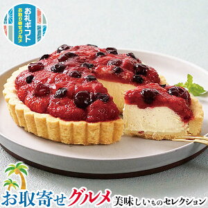  2̂܁[邢P[LZbgbxCNh`[YP[Li4j×1A~bNXx[^gi5j×1b v[g  Ε hV̓  