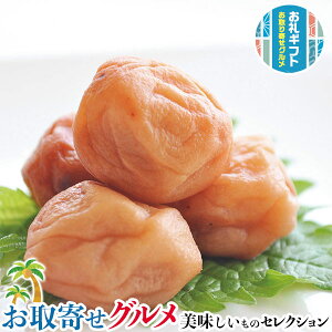 中田食品 紀州産 完熟 南高梅 うす塩 味|600g(塩分5%)※開封後は、冷蔵庫(10℃以下)で保存してください。|贈物 プレゼント お中元 お歳暮 敬老の日 お礼 送料無料