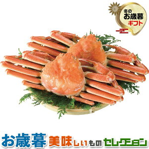 ΕMtg@{C 킢 pbɁFJi_Y̓VAY×2iv1kgjb~Mtg@yY@@