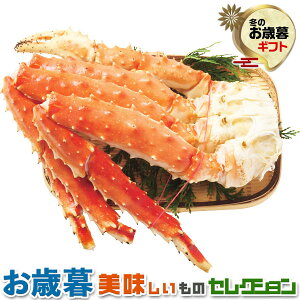 ΕMtg@ ^o I ̋r@i1jb{C800gi΂ɁFVAY܂̓Ji_Yjb~Mtg@yY@@