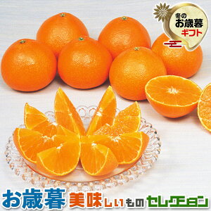 Ε Mtg@QY@g܂ǂ ݂@Gii3kgjbϔiGiEL`3LTCYE10`16ʁjb~Mtg@@