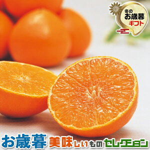 Ε Mtg@QY@܂ǂ ݂ i2kgjiQʎ28jbϔiGiEL`3LTCYE7`10ʁjb~Mtg@@