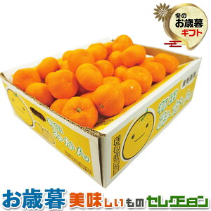 Ε Mtg@a̎RY@Lc ݂ i5kgjba̎RYLc݂5kgi2L`Mjb~Mtg@@