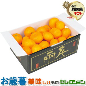 ���Ε� �M�t�g�@���Q���Y�@���̊� �݂��� �i2kg�j�b�i�Ǖi�ES�`L�T�C�Y�j�b�~�M�t�g�@�����@��������