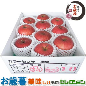 Ε Mtg@X Y Tӂ  x14xȏw@i2D5kgjbXYTӂ2.5kgi8`10ʁjb~Mtg@@