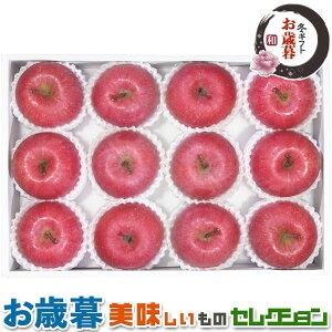 Ε Mtg _Cʉ XY   b XY񂲖2.5kgi8`12ʁjb~Mtg@yY@@@