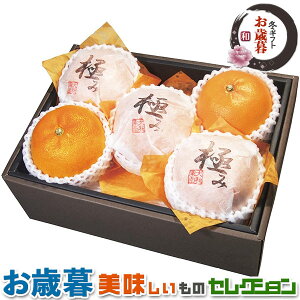 ő2000~N[|Ε Mtg _Cʉ QY g܂ǂ ݂b QYg܂ǂȖ1.2kgi4`6ʁjb~Mtg@yY@@@