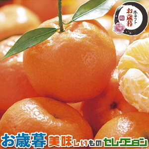 Ε Mtg _Cʉ QY ݂Ȃ ݂bQY݂1.2kgb~Mtg@yY@@@