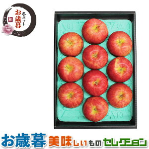 ő2000~N[|Ε Mtg MB@Tӂ@ b MBTӂ񂲁i쌧Yj3kgi10ʁjb~Mtg@yY@@@