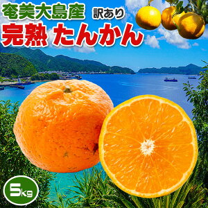  񂩂 ݂ 󂠂 5kg@n@ƒp KiO@哇Y TCYCyƒpz󏭊kyoדCE\izMtg B@썑@t[c@ʕ@ 