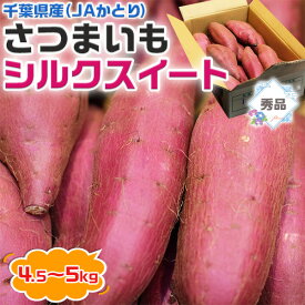 さつまいも　シルクスイート　千葉県産（JAかとり）秀品　Lサイズ　約4.5～5kg（13本前後入）箱入り　家庭用【出荷日お任せ・指定日不可】芋活　お芋　焼き芋に　サツマイモ　送料無料