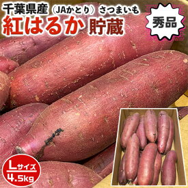 さつまいも　紅はるか　秀品　Lサイズ　約4.5kg（13本前後入）貯蔵 箱入り 千葉県産　家庭用【出荷日お任せ・指定日不可】芋活　お芋　焼き芋に　サツマイモ　送料無料