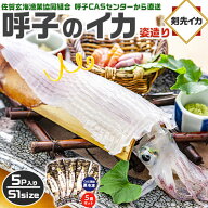 旅サラダ　TVで紹介／　呼子のイカ｜呼子 剣先いか姿造り（S1サイズ）× 合計5P | 約100〜150g（1個あた…