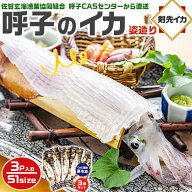 旅サラダ　TVで紹介／　呼子のイカ｜呼子 剣先いか姿造り（S1サイズ）× 合計3P | 約100〜150g（1個あた…