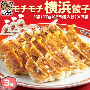 `` l Lqy؎gpzⓀ Lq17gx25×3܁@v1,275gblLq}Ch@YfނɂlLqbⓀHi@傤@MEU@ăMtg@ƒp