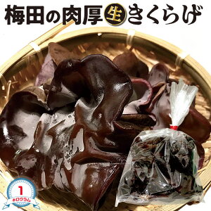 炰@1kg (500×2)@TCYbY@~c  炰@ƒp@~cY@1 (500O×2) iF炰@炰@؎@؁@n@Yn