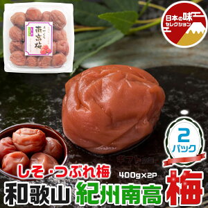 ~ IB썂 ~@Ԃ~@@1pbN400g (v2pbNE800g) 10% a̎RY@Ԃꂤ V\Ђ ̓ ̓  Ε hV̓ ƒp Mtg Ft@[ 
