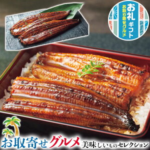 Mtg@XW@YȂ̊āiāji2jb×2iv240gEȂFBYE^jARt^15g×2bCYMtg@v[g@@hV̓@@