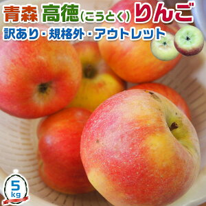 X   5kg 󂠂@KiOi@TCY召bFނ炠@AEgbgi@XC[cɁ@SDGs t[c@ь@ʕ@Apple Abv@