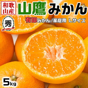 R݂@LTCY(Lc݂) 5kg@GiEpy܂~Ja̎RYEpzΕEENX}XMtgE