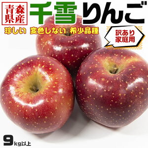 XY  񂲁@󂠂 9kgȏ(10kg)@  ϐFȂ 󏭕i EƒpbƑEƒEiE