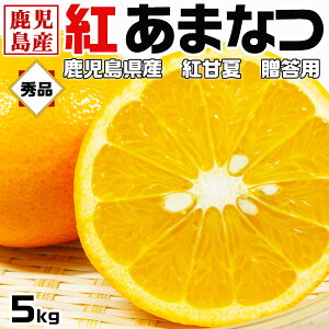 �g�É� �݂��� 5�L���@�G�i�@�����p�@M�T�C�Y�@ ���������Y �g���܂Ȃ� 5kg�E�ʕ��E���k�E�t���[�c�E��y�Y�E�������E�����p�̃M�t�g�E��������