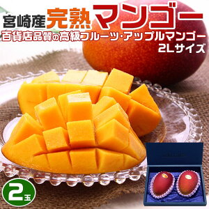�{��}���S�[�@�{�� ���n�}���S�[�@2L�T�C�Y�@2���i���n�A�b�v���}���S�[�j�M�t�g�@�����ʕ��@�󏭃t���[�c�@�����@�v���[���g�@�����p�@���������@�������@��̓��@���̓��@�N�[����