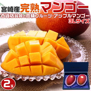 �{��}���S�[�@�{�� ���n�}���S�[�@3L�T�C�Y�@2���i���n�A�b�v���}���S�[�j�M�t�g�@�����ʕ��@�󏭃t���[�c�@�����@�v���[���g�@�����p�@���������@�������@��̓��@���̓��@�N�[����