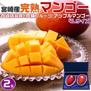 �{��}���S�[�@�{�� ���n�}���S�[�@4L�T�C�Y ��ʁ@2���i���n�A�b�v���}���S�[�j�M�t�g�@�����ʕ��@�󏭃t���[�c�@�����@�v���[���g�@�����p�@���������@�������@��̓��@���̓��@�N