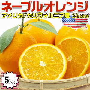 x@l[uIW@5kg 22ʑO@nw@xۏ؁yAJEJtHjABYzSunkist Navel Orange/From California U.S.A. @̓@@v[g@lCuIW@