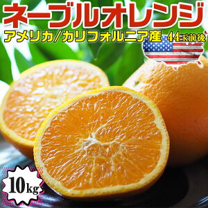 x@l[uIW@10kg 44ʑO@nw@xۏ؁yAJEJtHjABYzSunkist Navel Orange/From California U.S.A. @̓@@v[g@lCuIW@