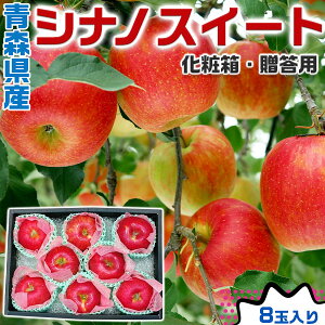 ő2000~N[|  Ε@VimXC[g XY ϔ 8ʓ p l Gi t[c ь 蕨 Mtg ʕ Abv@NX}Xɂ@