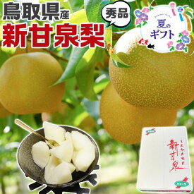 早期　予約品　鳥取県産 梨 新甘泉梨 秀品 5kg 6～9玉入 大玉 糖度14度前後 贈答用【しんかんせん鳥取県産ナシ】遅れてごめんね敬老の日・ギフト・送料無料 予約9月中旬から出荷　常温便