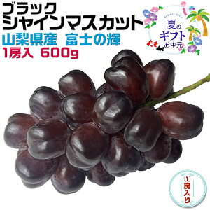 ő2000~N[|TVŏЉIxm̋P@VC}XJbg RY ubNVC}XJbg xm̋P 1[ 600g Ԃǂ }XJbg N[ցEMtgE@Ă~