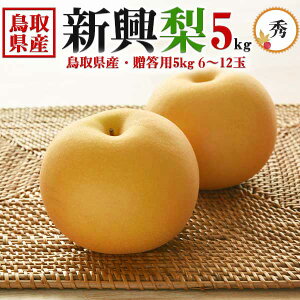 挧Y  V Gi 5kg 6`12ʁ@p@H̃MtgEΕẼiVE