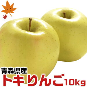 XY gL  10kg 󂠂Eƒp@TCY召Cb󏭕i@xĂ߂ˁ@hV̓EƒpEMtgEt[c@ʕ@Abv@