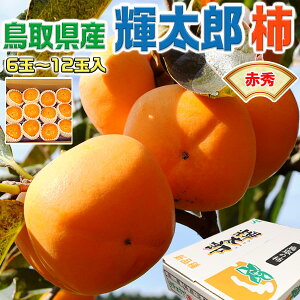 `  挧Y PY ` ԏG 6ʁ`12ʓ@p @낤` PY`@H̉ʕ@t[c@Mtg 
