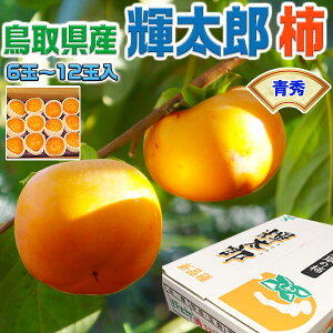 ő2000~N[|`  挧Y PY ` G 6ʁ`12ʓ@ƒp @낤`  PY`@H̉ʕ@t[c@ƒpMtg 
