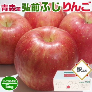  5kg 󂠂 XY OO ӂ 4kgȏ ƒp  TCYCbapple020-hf005 SDGS ƑEƒΕMtgENX}X̐HɁE