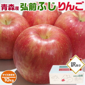  10kg 󂠂 XY OO ӂ 9kgȏ ƒp  TCYCbapple020-hf010 SDGS ƑEƒΕMtgENX}X̐HɁE